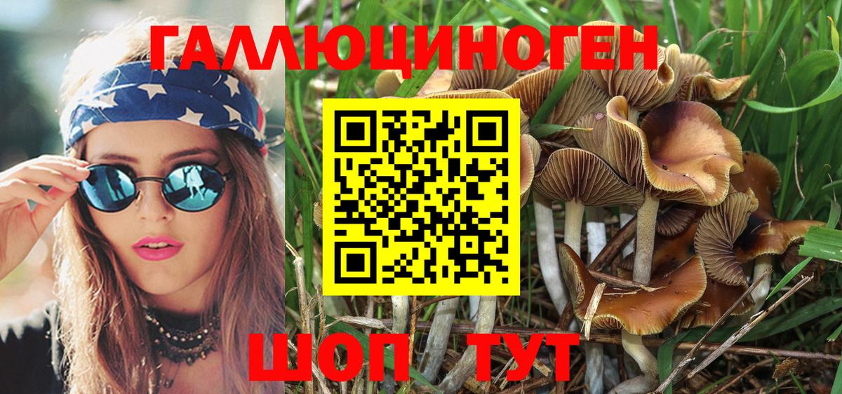 закладка  Вход с VPN  Обь  Псилоцибиновые грибы Psilocybe  Галлюциногенные грибы Psilocybe 